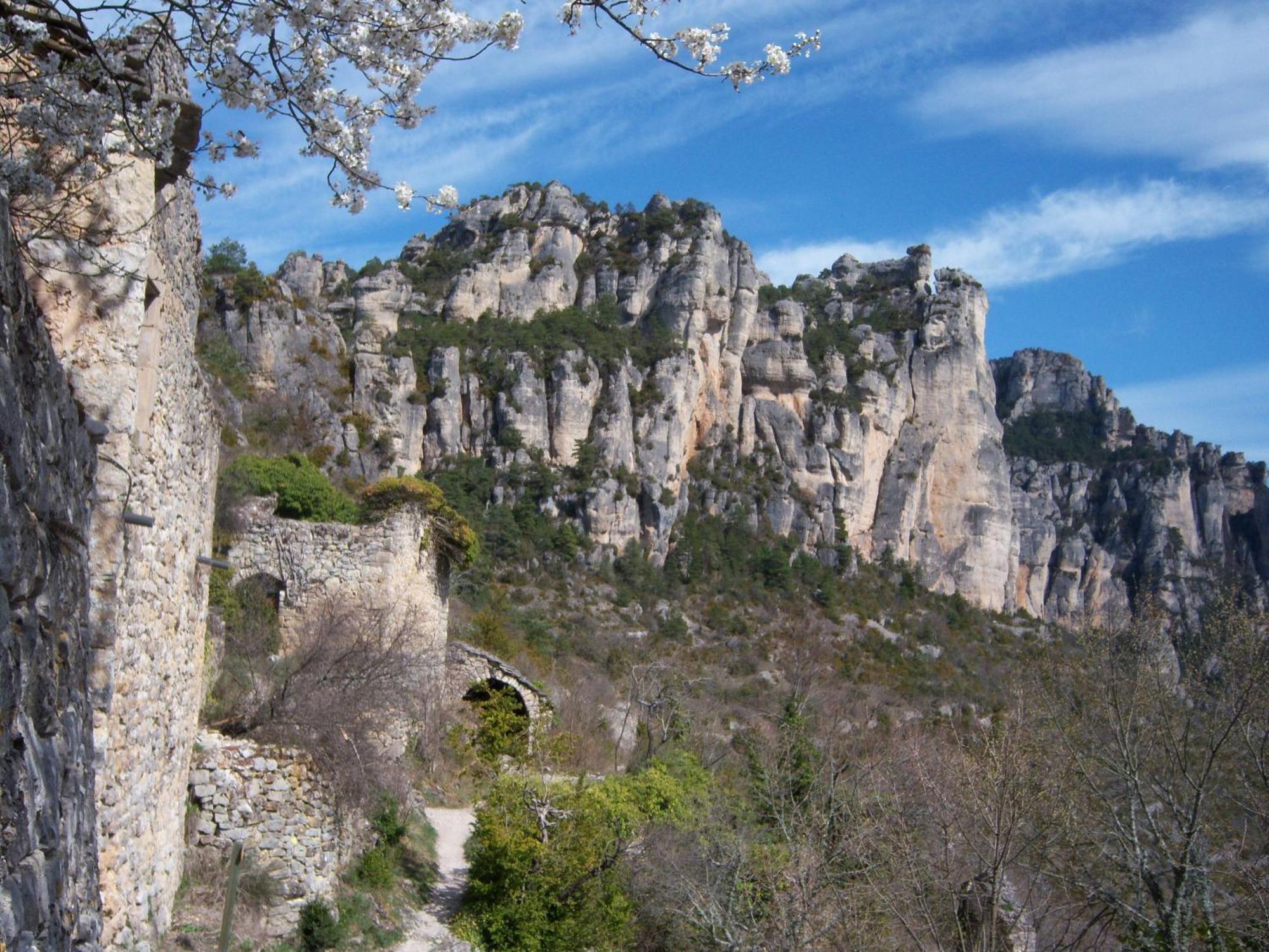 Ermitage De Peyreleau Bed & Breakfast Luaran gambar
