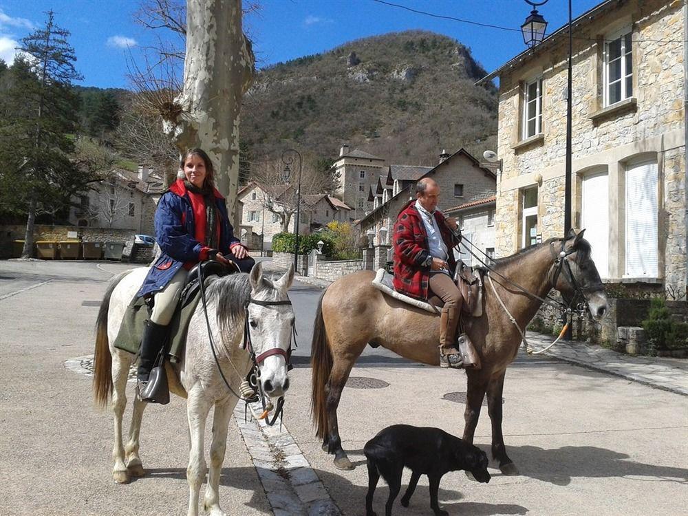 Ermitage De Peyreleau Bed & Breakfast Luaran gambar